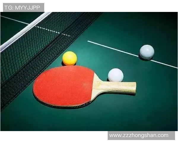 乒乓球技术与战术深度解析 提升竞技水平与实战能力的全方位指南