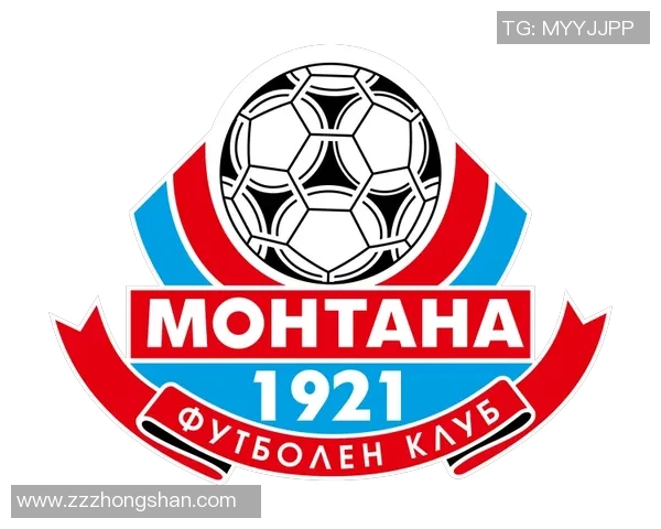 全球知名足球俱乐部发展历程与现代竞技体系全面多维度深度解析