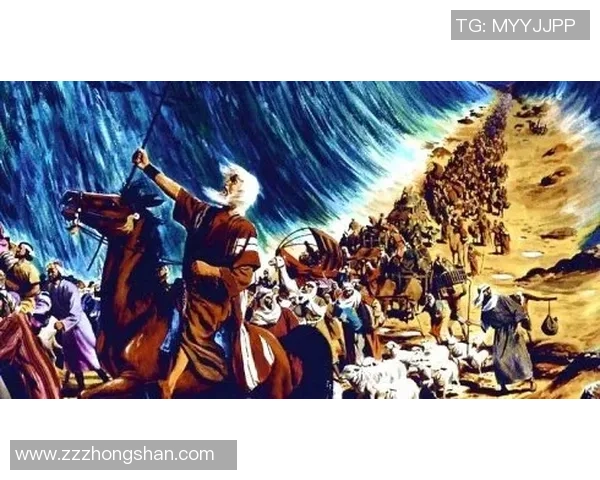 国王与太阳的对决:一场历史与命运交织的激烈碰撞 国王与太阳的对决:一场历史与命运交织的激烈碰撞