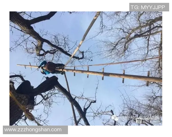 熊倪探索自然奇观与人文奥秘的融合之旅