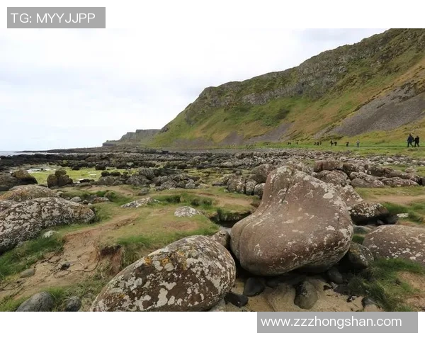 聚焦绿茵巨星成长历程与赛场风云故事深度解析全景展现传奇篇章录